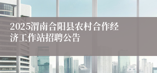 2025渭南合阳县农村合作经济工作站招聘公告