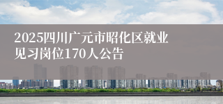 2025四川广元市昭化区就业见习岗位170人公告
