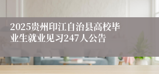 2025贵州印江自治县高校毕业生就业见习247人公告