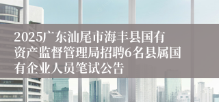 2025广东汕尾市海丰县国有资产监督管理局招聘6名县属国有企业人员笔试公告