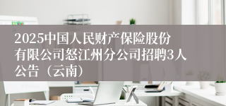 2025中国人民财产保险股份有限公司怒江州分公司招聘3人公告（云南）