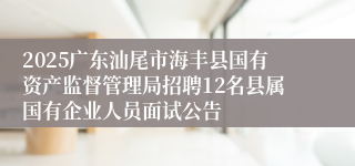 2025广东汕尾市海丰县国有资产监督管理局招聘12名县属国有企业人员面试公告