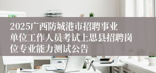 2025广西防城港市招聘事业单位工作人员考试上思县招聘岗位专业能力测试公告