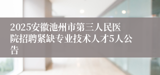 2025安徽池州市第三人民医院招聘紧缺专业技术人才5人公告