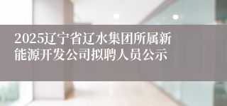 2025辽宁省辽水集团所属新能源开发公司拟聘人员公示