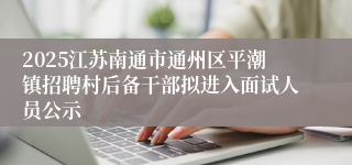 2025江苏南通市通州区平潮镇招聘村后备干部拟进入面试人员公示