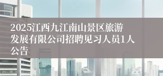 2025江西九江南山景区旅游发展有限公司招聘见习人员1人公告