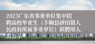 2025广东省事业单位集中招聘高校毕业生（丰顺县砂田镇人民政府所属事业单位）拟聘用人员公示