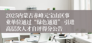 2025内蒙古赤峰元宝山区事业单位通过“绿色通道” 引进高层次人才自评得分公告