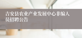 吉安县农业产业发展中心非编人员招聘公告