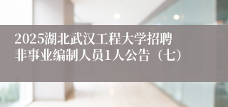 2025湖北武汉工程大学招聘非事业编制人员1人公告（七）