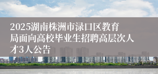 2025湖南株洲市渌口区教育局面向高校毕业生招聘高层次人才3人公告