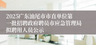 2025广东汕尾市市直单位第一批招聘政府聘员市应急管理局拟聘用人员公示