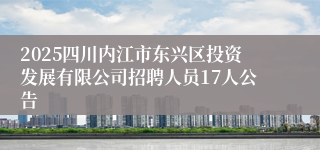 2025四川内江市东兴区投资发展有限公司招聘人员17人公告