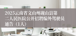 2025云南省文山州砚山县第二人民医院公开招聘编外驾驶员通告（1人）