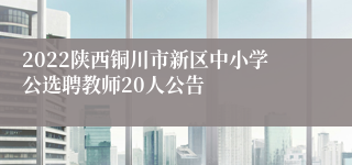 2022陕西铜川市新区中小学公选聘教师20人公告