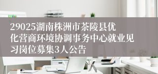29025湖南株洲市茶陵县优化营商环境协调事务中心就业见习岗位募集3人公告