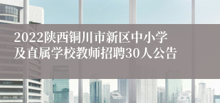 2022陕西铜川市新区中小学及直属学校教师招聘30人公告