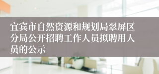 宜宾市自然资源和规划局翠屏区分局公开招聘工作人员拟聘用人员的公示