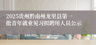 2025贵州黔南州龙里县第一批青年就业见习拟聘用人员公示