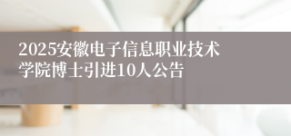 2025安徽电子信息职业技术学院博士引进10人公告