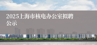 2025上海市核电办公室拟聘公示