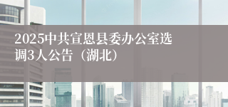 2025中共宣恩县委办公室选调3人公告（湖北）