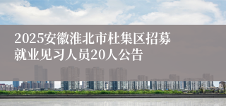 2025安徽淮北市杜集区招募就业见习人员20人公告