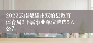 2022云南楚雄州双柏县教育体育局2下属事业单位遴选5人公告