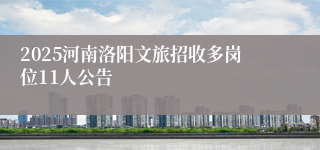 2025河南洛阳文旅招收多岗位11人公告