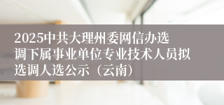 2025中共大理州委网信办选调下属事业单位专业技术人员拟选调人选公示（云南）
