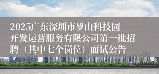 2025广东深圳市罗山科技园开发运营服务有限公司第一批招聘（其中七个岗位）面试公告
