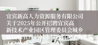 宜宾新高人力资源服务有限公司关于2025年公开招聘宜宾高新技术产业园区管理委员会城乡建设和管理局城市综合管理工作人员的公告
