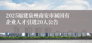 2025福建泉州南安市属国有企业人才引进20人公告
