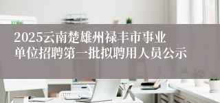 2025云南楚雄州禄丰市事业单位招聘第一批拟聘用人员公示