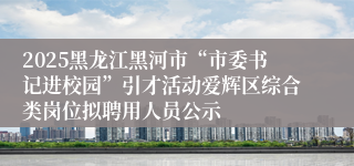 2025黑龙江黑河市“市委书记进校园”引才活动爱辉区综合类岗位拟聘用人员公示
