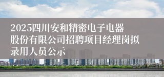 2025四川安和精密电子电器股份有限公司招聘项目经理岗拟录用人员公示