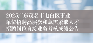 2025广东茂名市电白区事业单位招聘高层次和急需紧缺人才招聘岗位直接业务考核成绩公告