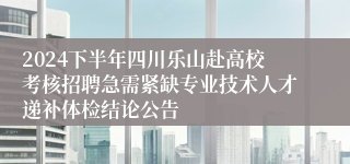 2024下半年四川乐山赴高校考核招聘急需紧缺专业技术人才递补体检结论公告