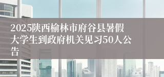 2025陕西榆林市府谷县暑假大学生到政府机关见习50人公告