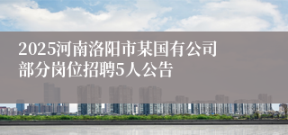 2025河南洛阳市某国有公司部分岗位招聘5人公告