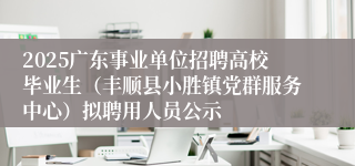 2025广东事业单位招聘高校毕业生（丰顺县小胜镇党群服务中心）拟聘用人员公示
