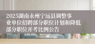 2025湖南永州宁远县调整事业单位招聘部分职位计划和降低部分职位开考比例公告