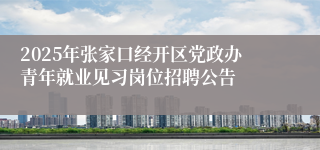 2025年张家口经开区党政办青年就业见习岗位招聘公告