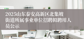 2025山东泰安高新区北集坡街道所属事业单位招聘拟聘用人员公示