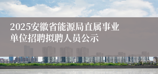 2025安徽省能源局直属事业单位招聘拟聘人员公示