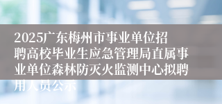 2025广东梅州市事业单位招聘高校毕业生应急管理局直属事业单位森林防灭火监测中心拟聘用人员公示