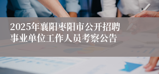 2025年襄阳枣阳市公开招聘事业单位工作人员考察公告