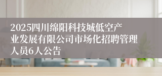 2025四川绵阳科技城低空产业发展有限公司市场化招聘管理人员6人公告