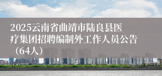 2025云南省曲靖市陆良县医疗集团招聘编制外工作人员公告（64人）